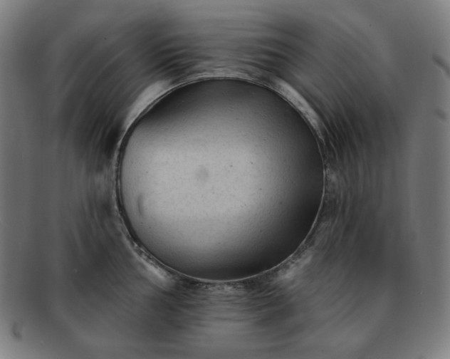 X0000091891002200709121436