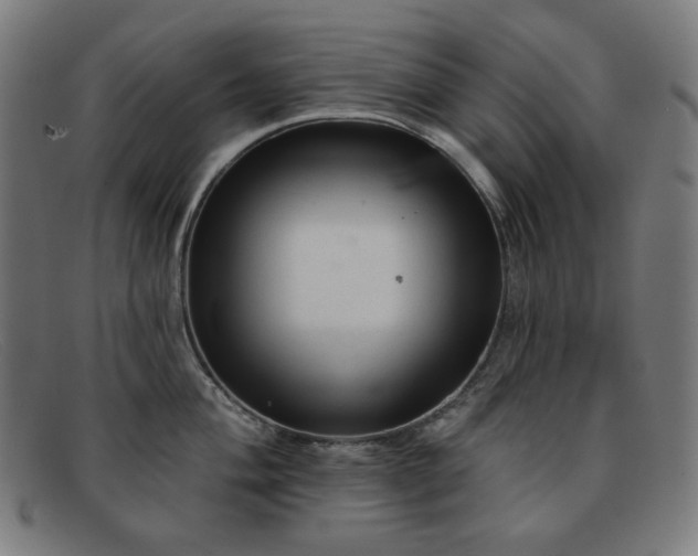 X0000091891004200709121436