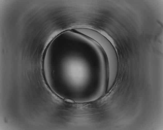 X0000091891005200709121436