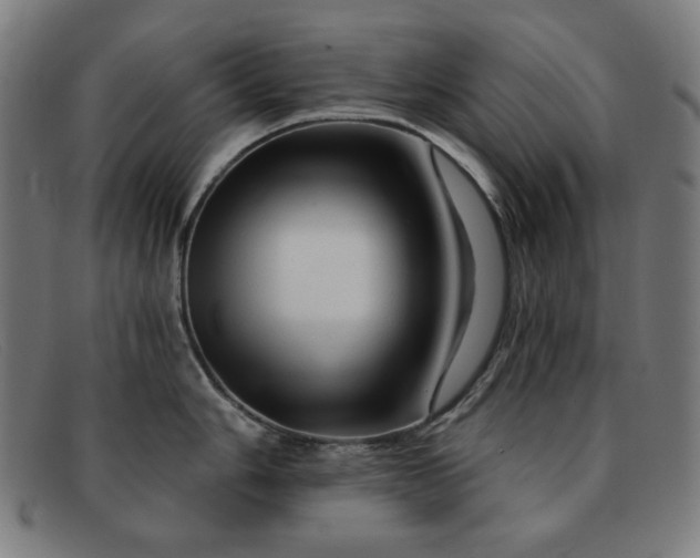 X0000091891006200709121436