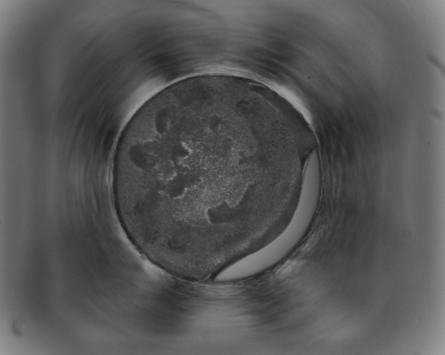 X0000091891007200709121436