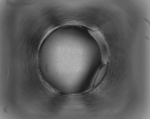X0000091891008200709121436