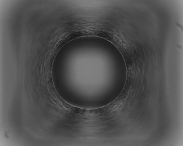 X0000091891009200709121435