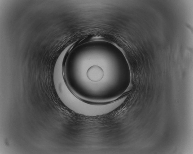 X0000091891010200709121435