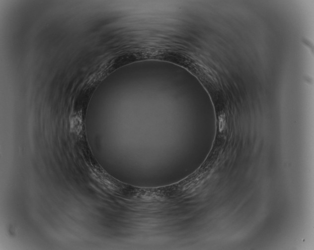 X0000091891011200709121435
