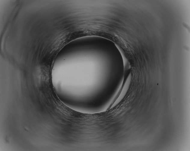 X0000091891012200709121435
