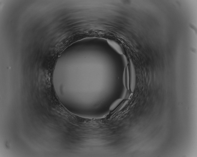 X0000091891013200709121435