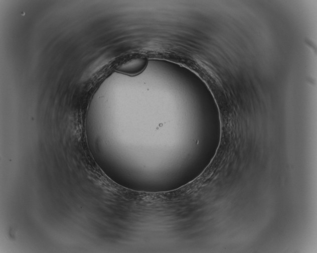 X0000091891015200709121435