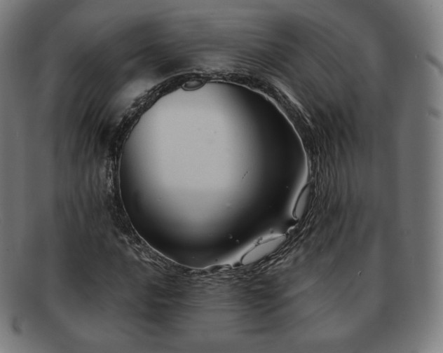X0000091891016200709121435