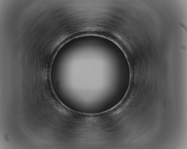 X0000091891017200709121435