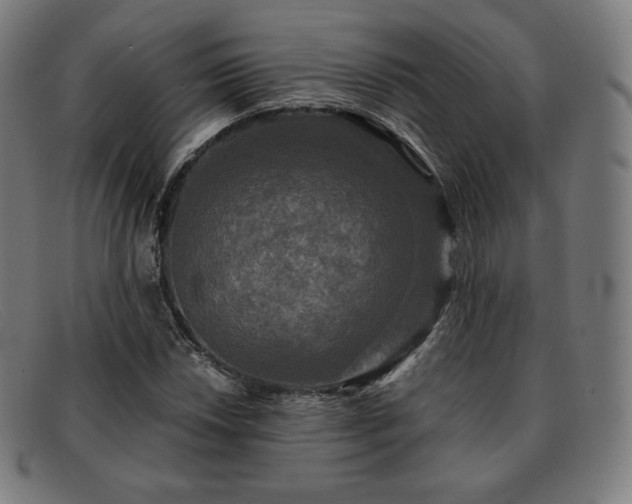 X0000091891018200709121435