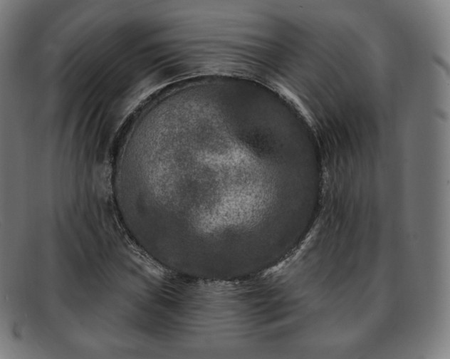 X0000091891019200709121435