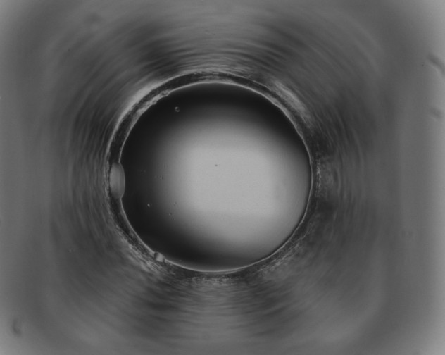 X0000091891020200709121435
