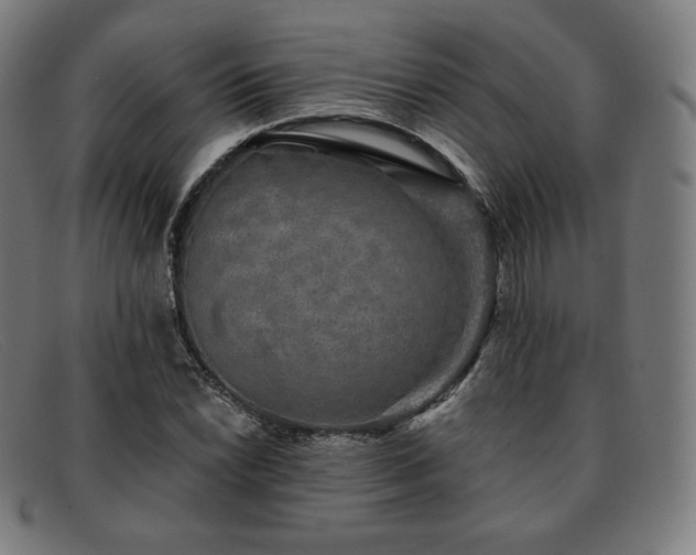 X0000091891022200709121436
