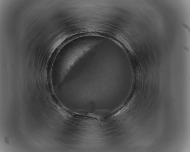 X0000091891023200709121436