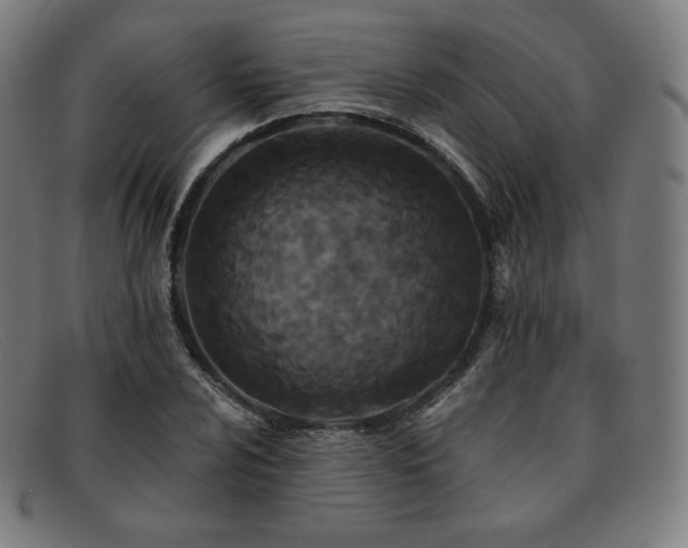 X0000091891024200709121436