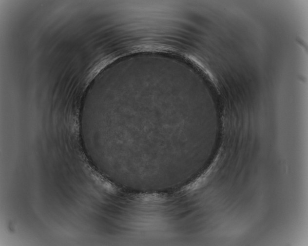 X0000091891025200709121436