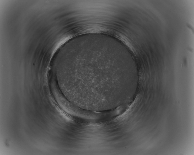 X0000091891026200709121436
