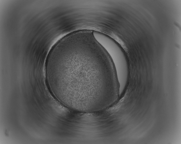 X0000091891028200709121436