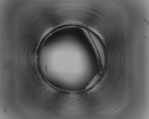 X0000091891029200709121436