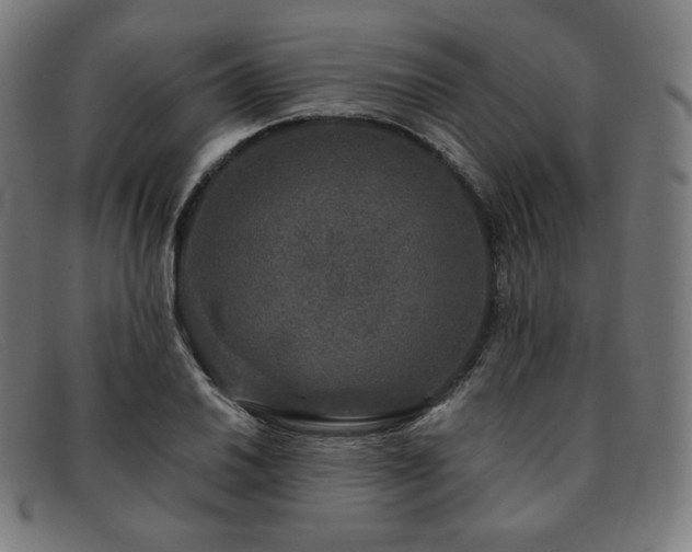 X0000091891030200709121436