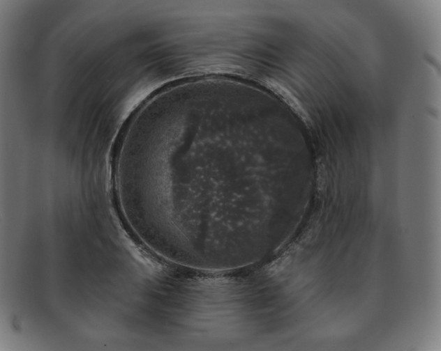 X0000091891031200709121436