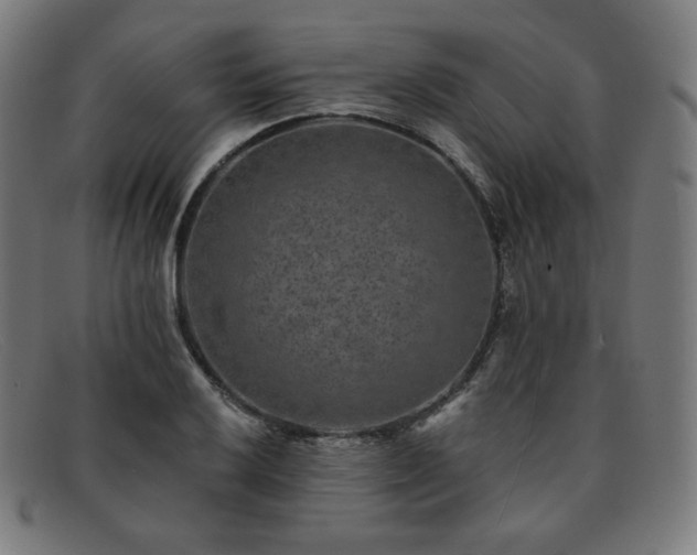 X0000091891032200709121436