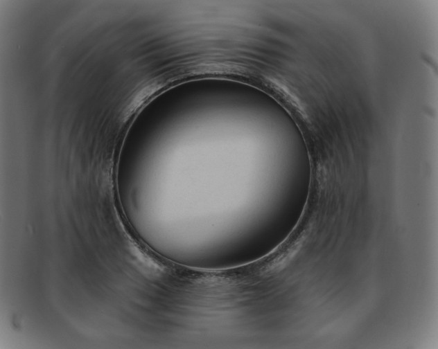 X0000091891033200709121436