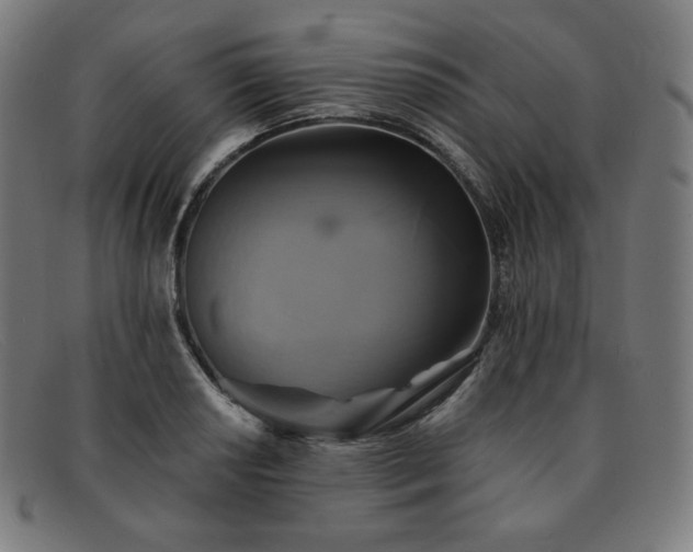 X0000091891034200709121436