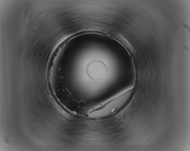 X0000091891036200709121436