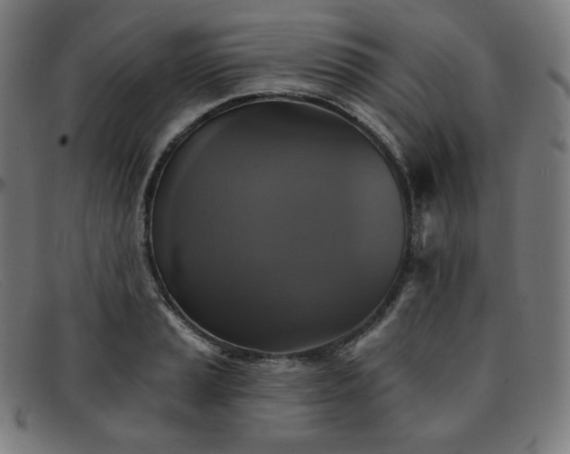 X0000091891037200709121436