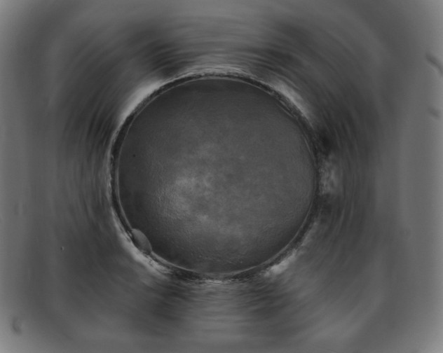 X0000091891038200709121436