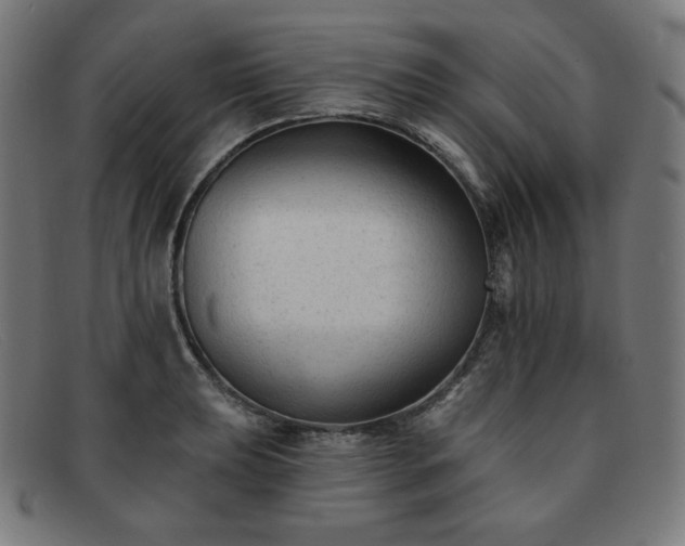 X0000091891039200709121436