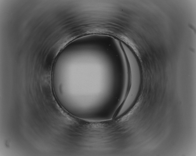 X0000091891041200709121436