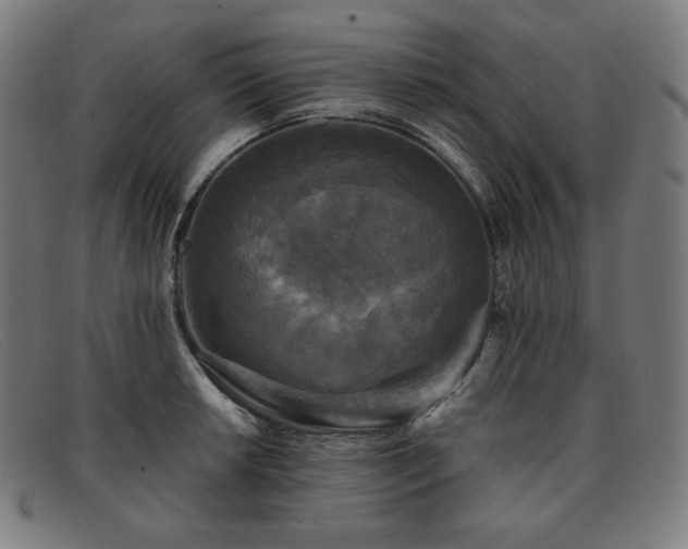 X0000091891042200709121436