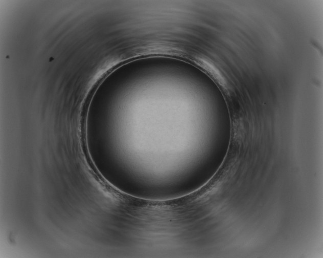 X0000091891043200709121436