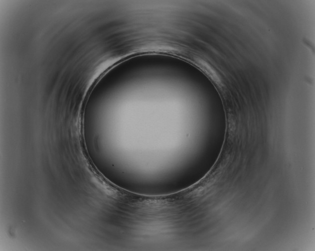 X0000091891044200709121436
