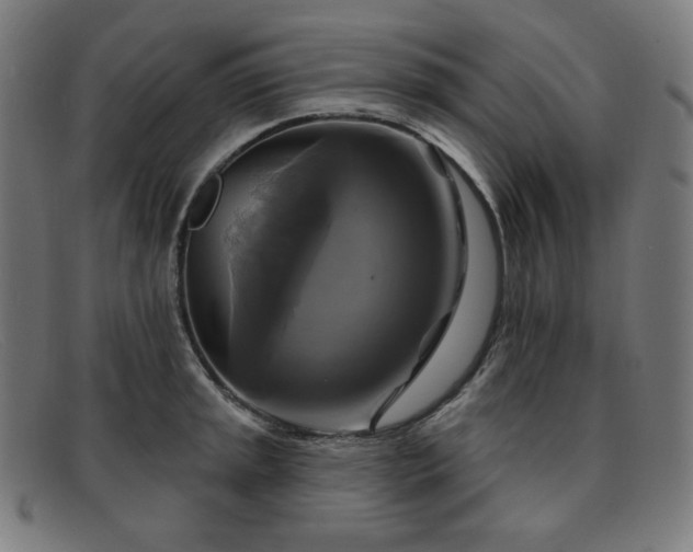 X0000091891045200709121436