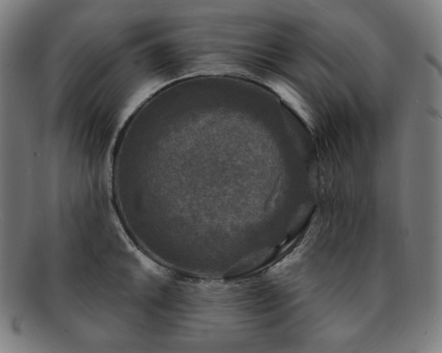 X0000091891046200709121436