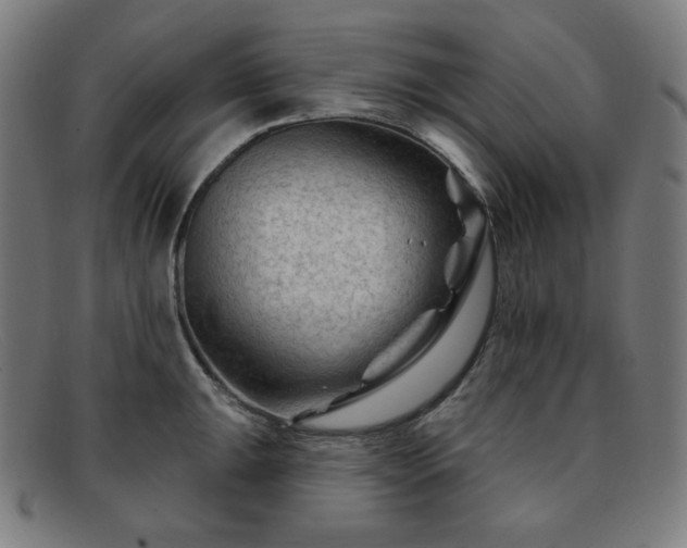 X0000091891047200709121436