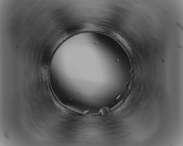 X0000091891049200709121436