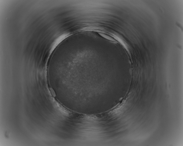 X0000091891050200709121436