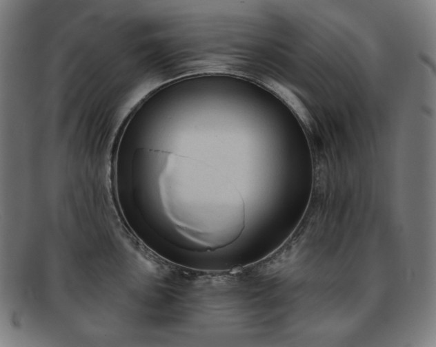 X0000091891051200709121436