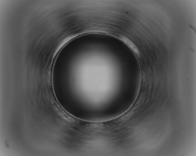 X0000091891052200709121436
