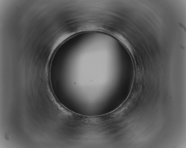 X0000091891053200709121436