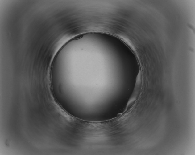 X0000091891056200709121436