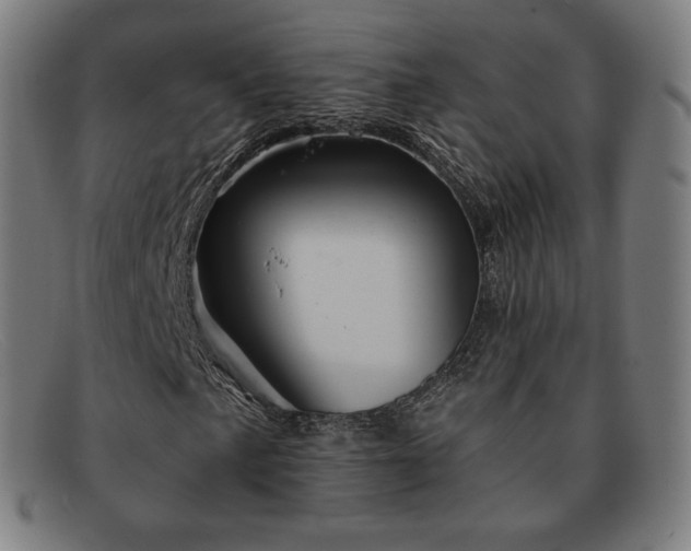 X0000091891057200709121435