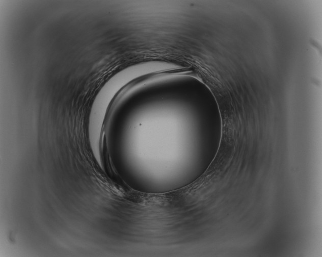 X0000091891058200709121435