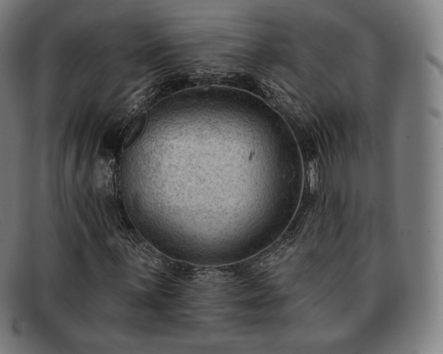 X0000091891059200709121435