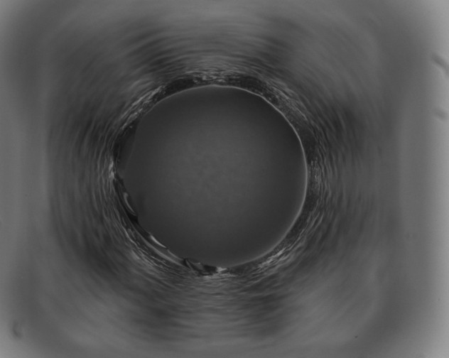 X0000091891060200709121435